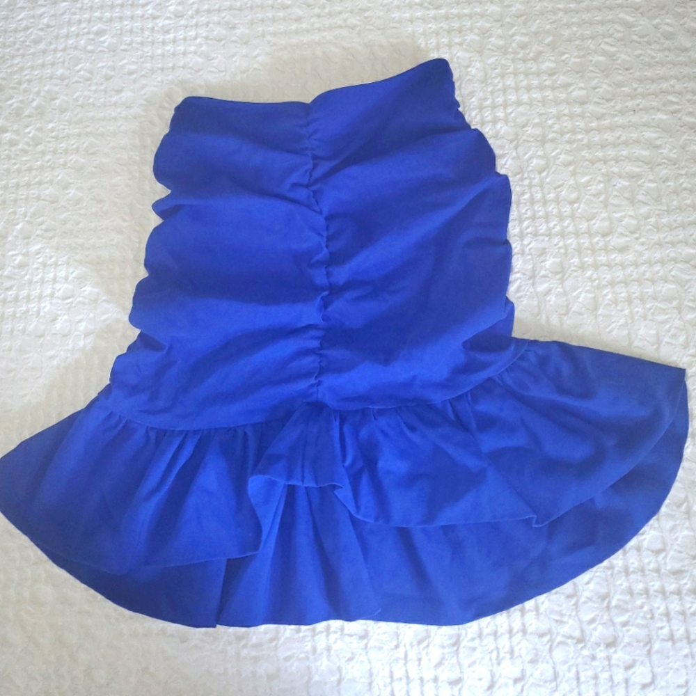 Zara Mini Skirt